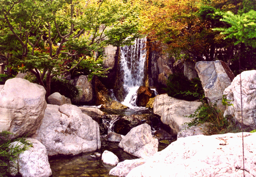 Zen-Garten Monaco, 2002 (analog) &nbsp;- &nbsp;Zen Garden In Monaco, 2002 
